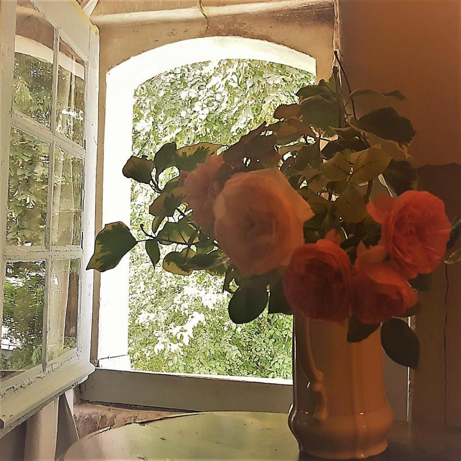 La Maison Céladon Prunay-Cassereau Esterno foto