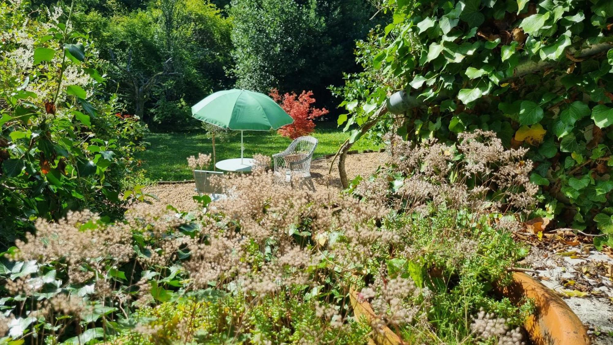 La Maison Céladon Prunay-Cassereau Esterno foto